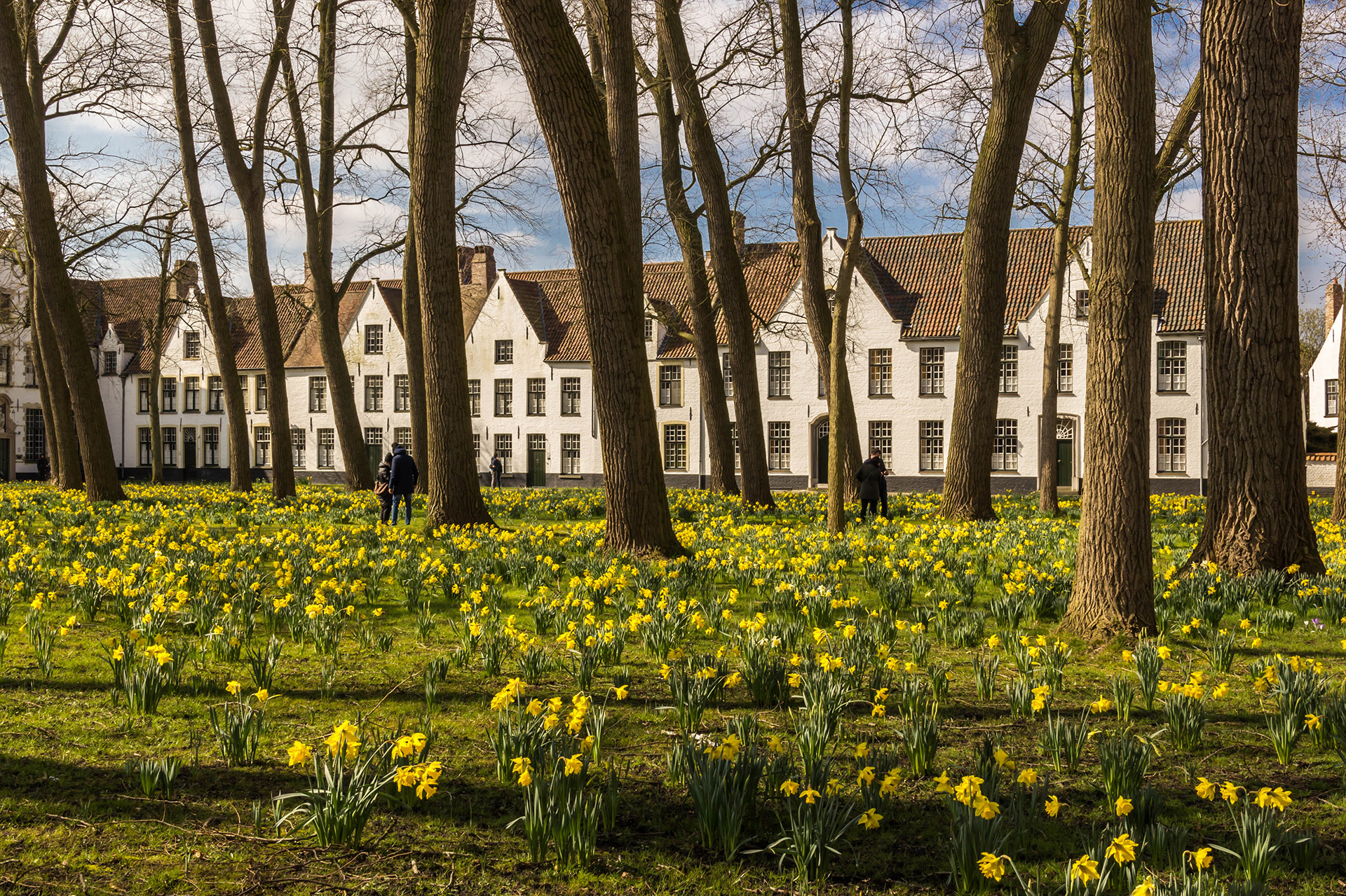 Brugge - Hotel Albert 1